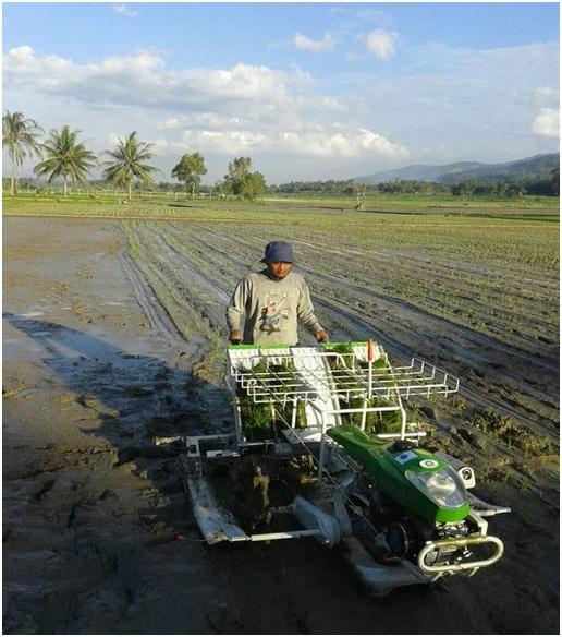 Petani menggunakan Rice Transplanter