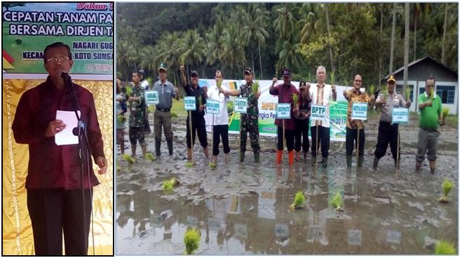 Kegiatan Gerakan Percepatan Pengolahan Lahan dan Percepatan Tanam Padi sawah Tahun 2017
