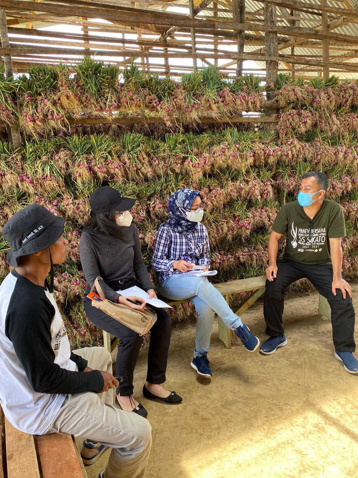 Kawasan Bawang Merah Di Kabupaten Solok Berbasis Korporasi