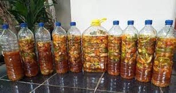 Eco Enzym Cairan Alami Untuk Pupuk Tanaman