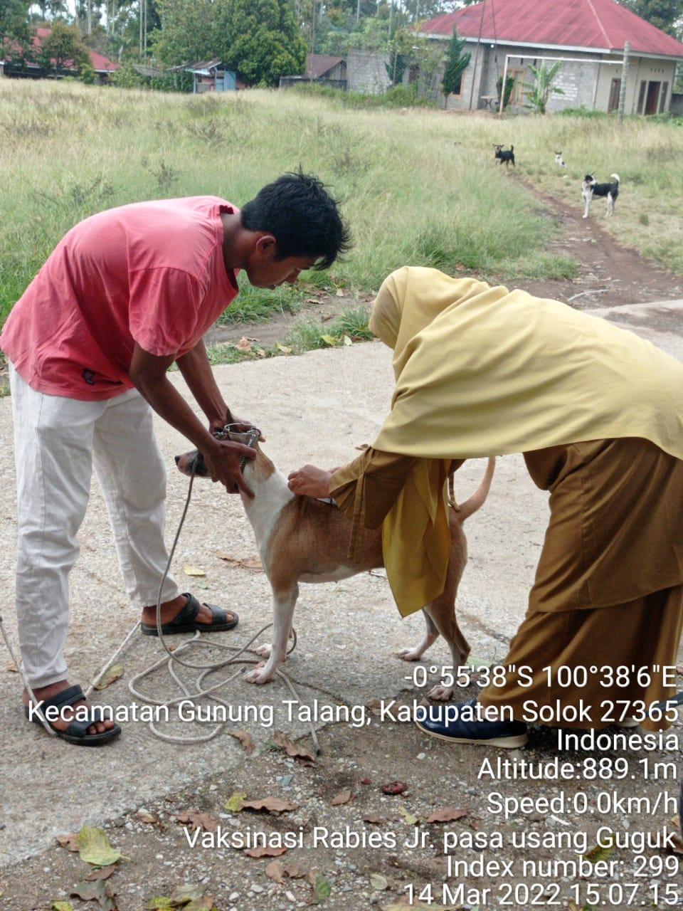 Vaksinasi Hewan Cegah Kematianny