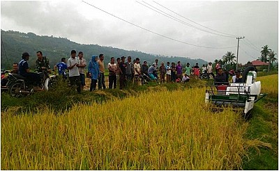 Kegiatan PSP - foto 7