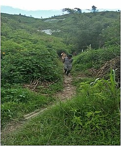 Kegiatan PSP - foto 10